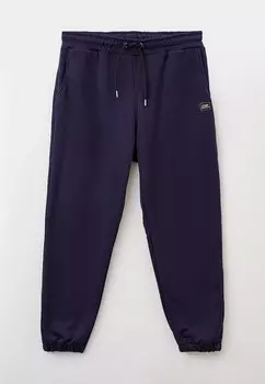 Брюки спортивные D.S