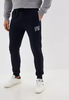 Брюки спортивные Dissident