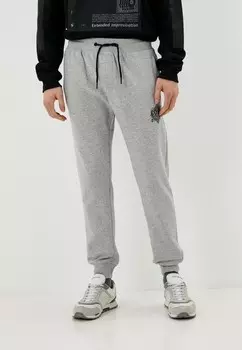 Брюки спортивные Dissident