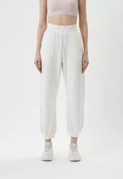 Брюки спортивные EA7