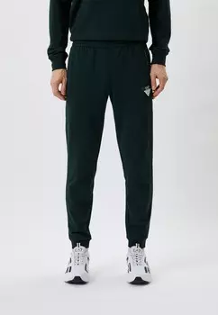 Брюки спортивные EA7