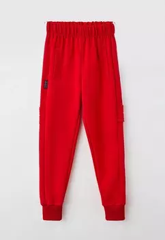 Брюки спортивные Katasonov