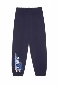 Брюки спортивные Lokki