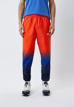 Брюки спортивные Polo Ralph Lauren