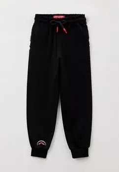 Брюки спортивные Sprayground