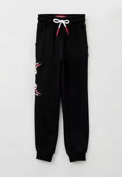Брюки спортивные Sprayground