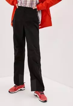 Брюки спортивные The North Face