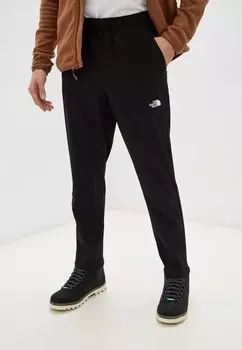 Брюки спортивные The North Face