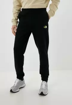 Брюки спортивные The North Face