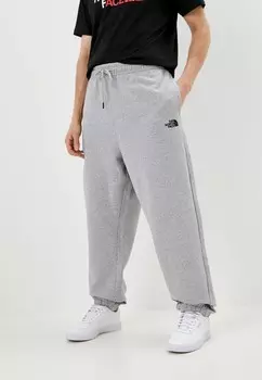 Брюки спортивные The North Face