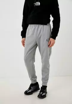 Брюки спортивные The North Face