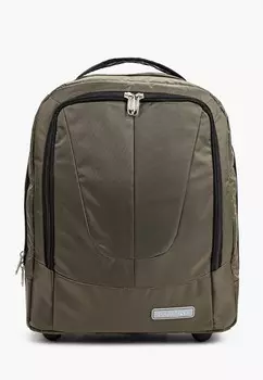 Чемодан Polar