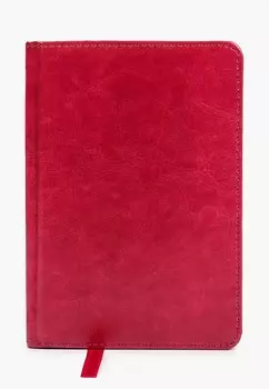 Ежедневник Berlingo