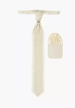 Галстук и платок Ir.Lush