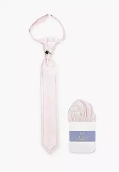 Галстук и платок Ir.Lush