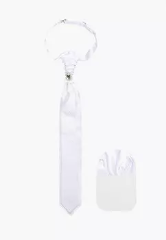 Галстук и платок Ir.Lush