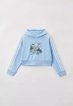 Худи adidas Originals