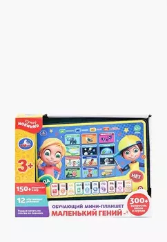Игрушка развивающая Умка
