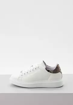 Кеды Cavalli Class