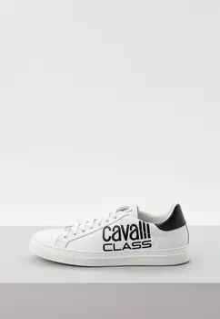 Кеды Cavalli Class