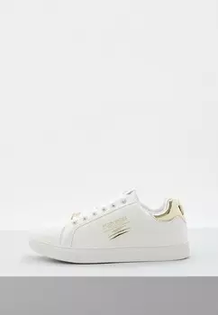 Кеды Plein Sport