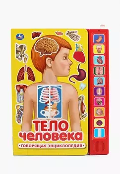 Книжка-игрушка Умка