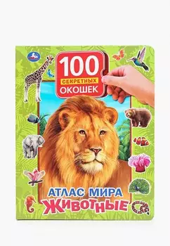 Книжка-игрушка Умка