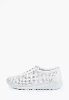 Кроссовки Alessio Nesca