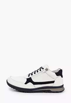 Кроссовки Alessio Nesca