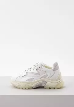 Кроссовки Ash