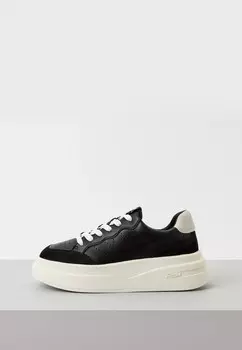 Кроссовки Ash