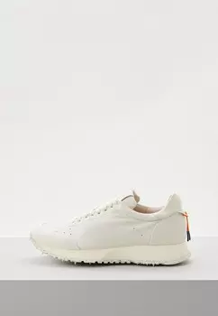 Кроссовки Barracuda