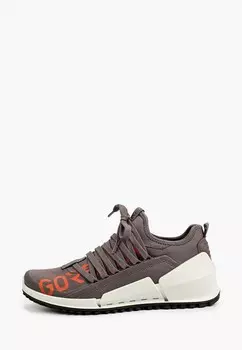 Кроссовки Ecco