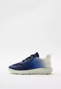 Кроссовки Ecco