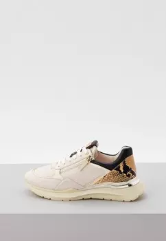 Кроссовки Högl