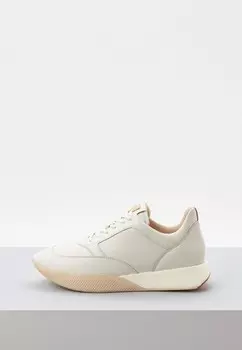 Кроссовки Högl