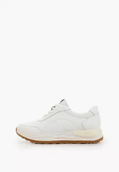 Кроссовки Thomas Munz