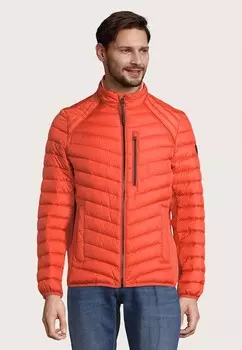 Куртка утепленная Tom Tailor