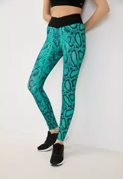 Леггинсы Bodyca