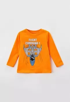 Лонгслив Ardirose