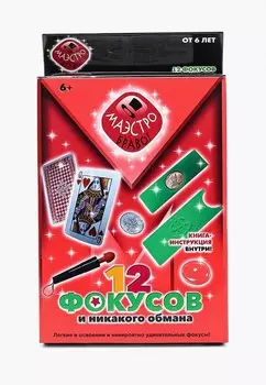 Набор игровой Маэстро, браво