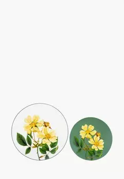 Набор тарелок Elan Gallery