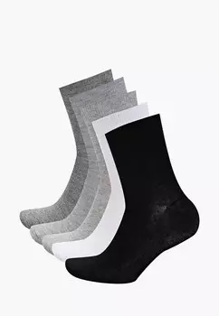 Носки 5 пар Gloria Jeans