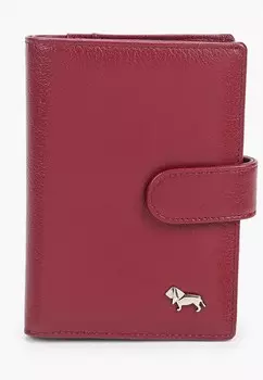 Обложка для документов Labbra