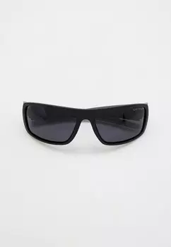 Очки солнцезащитные Greywolf