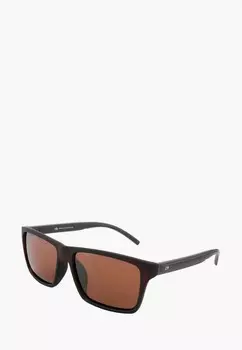 Очки солнцезащитные Greywolf