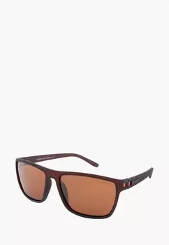 Очки солнцезащитные Greywolf