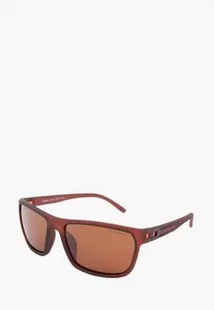 Очки солнцезащитные Greywolf