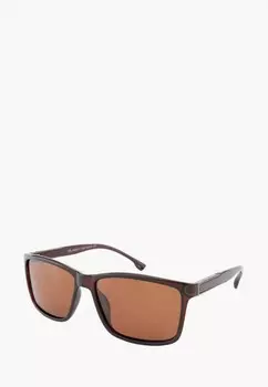 Очки солнцезащитные Greywolf