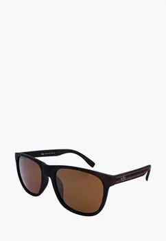 Очки солнцезащитные Greywolf